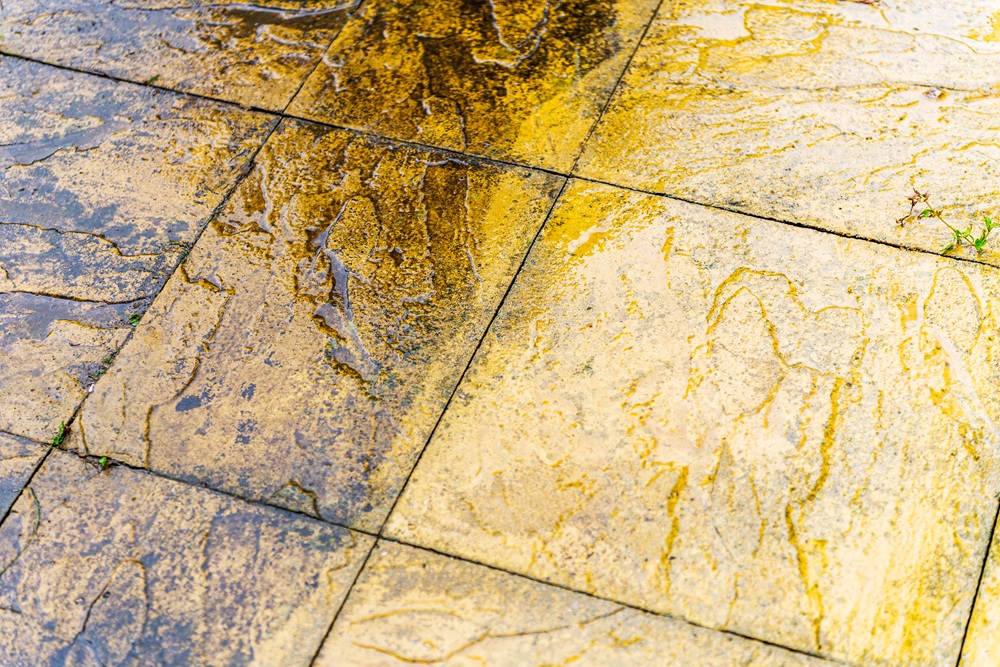 entretien-terrasse-le-cercle.jpg